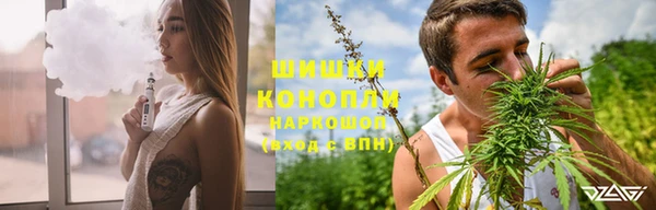 крисы Верея