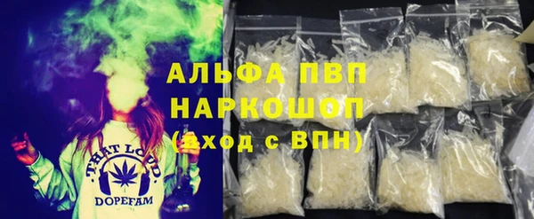 крисы Верея